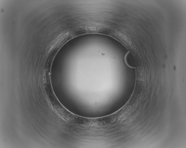 X0000067950738200604201431