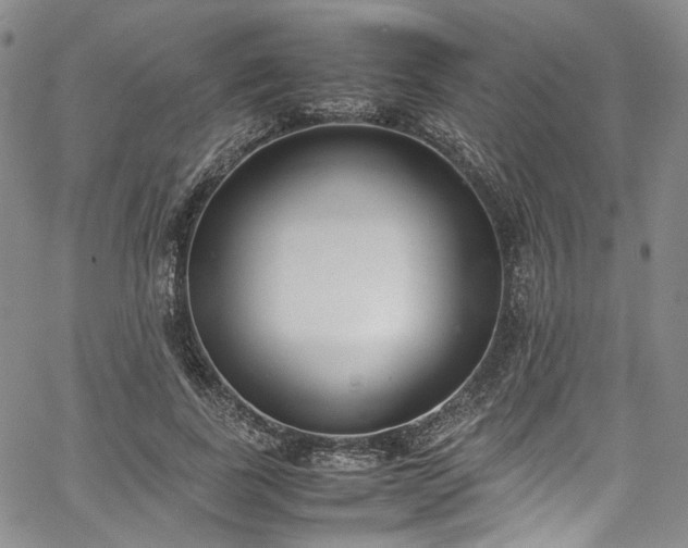 X0000067950739200604201431