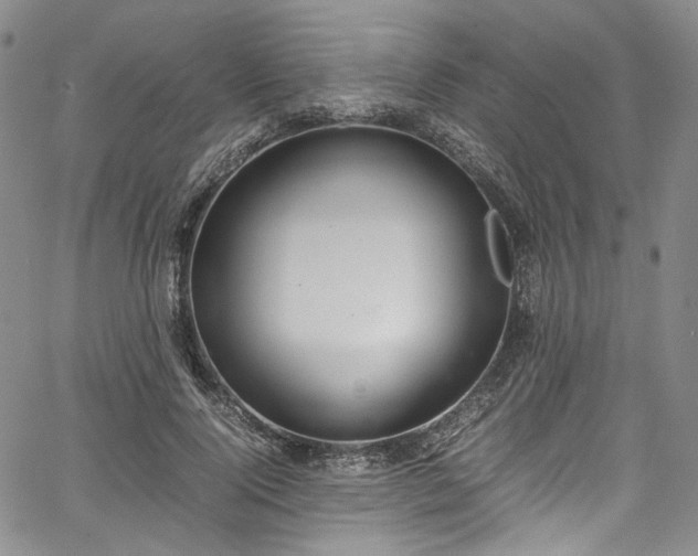 X0000067950740200604201431