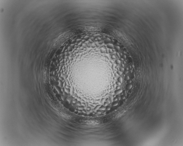 X0000067950741200604201431