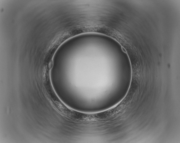 X0000067950742200604201431