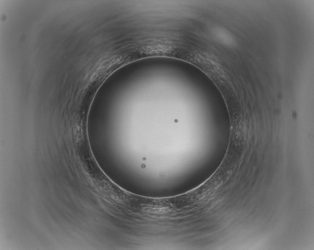 X0000067950743200604201431