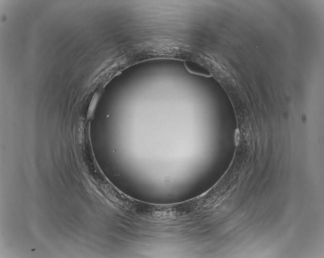 X0000067950744200604201431