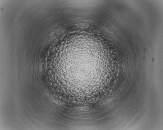 X0000067950745200604201431