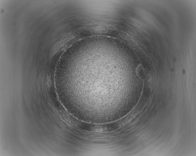 X0000067950746200604201431