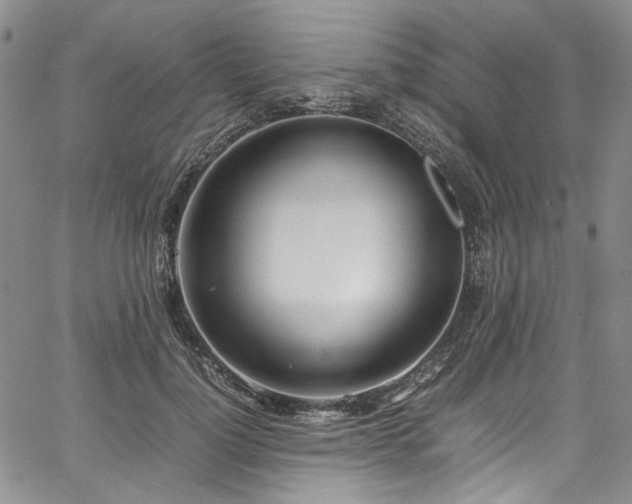 X0000067950748200604201431