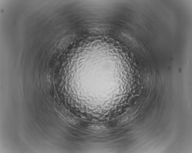 X0000067950749200604201431