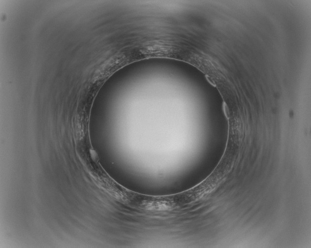 X0000067950751200604201431