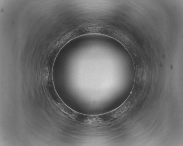 X0000067950752200604201431