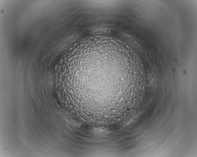 X0000067950753200604201431