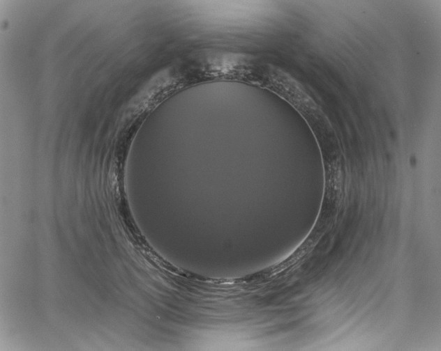 X0000067950754200604201431