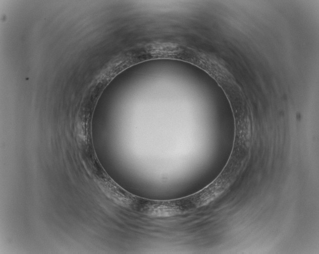 X0000067950755200604201431