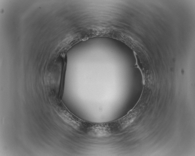 X0000067950756200604201431