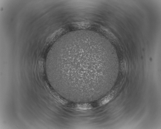 X0000067950757200604201431