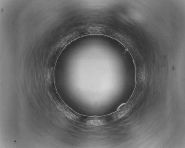 X0000067950759200604201431