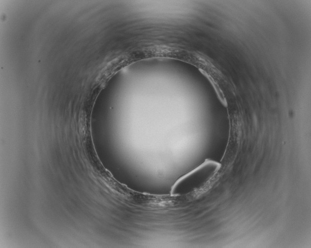 X0000067950760200604201431