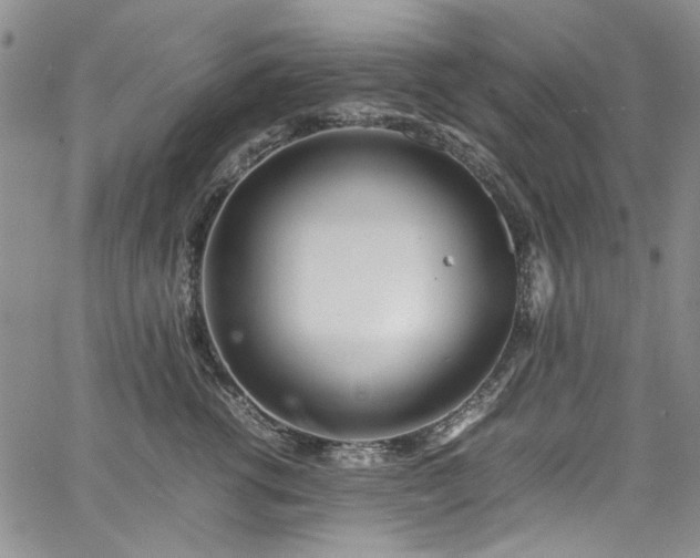 X0000067950762200604201431