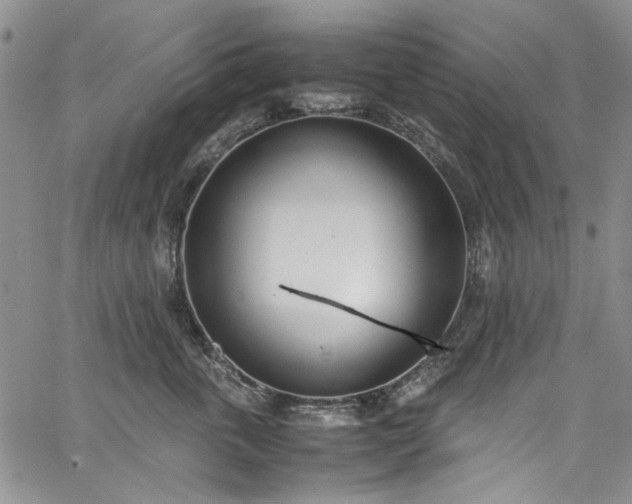 X0000067950763200604201431