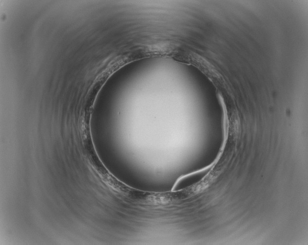 X0000067950764200604201431