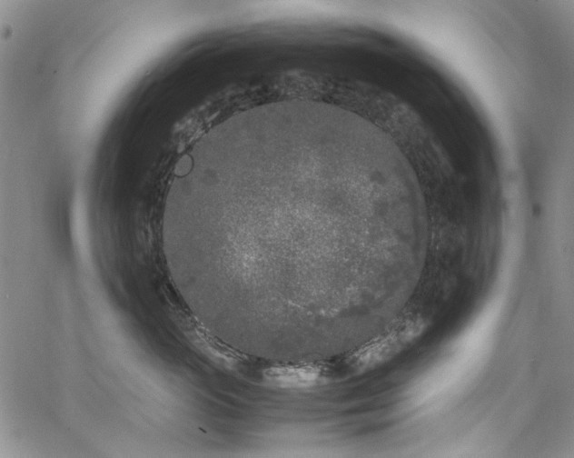 X0000067950765200604201431