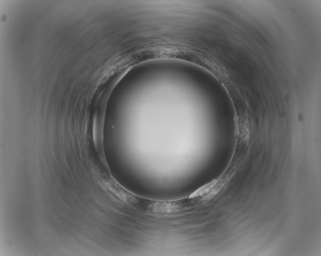 X0000067950766200604201431