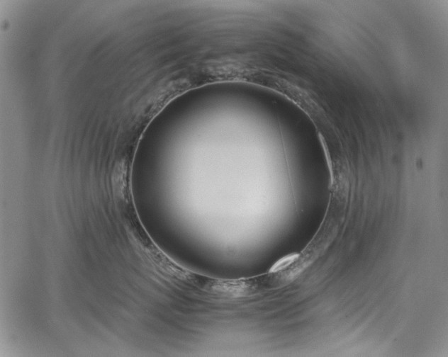 X0000067950767200604201431