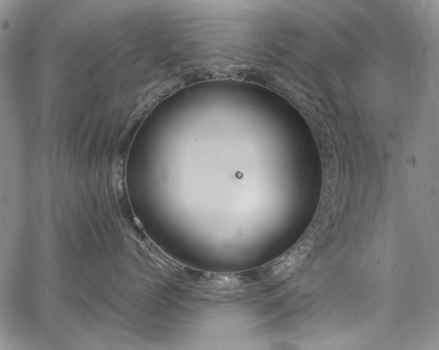 X0000067950768200604201431