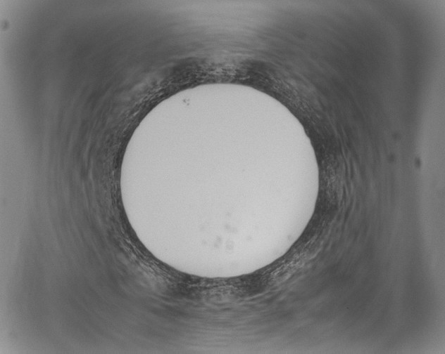 X0000067950769200604201430