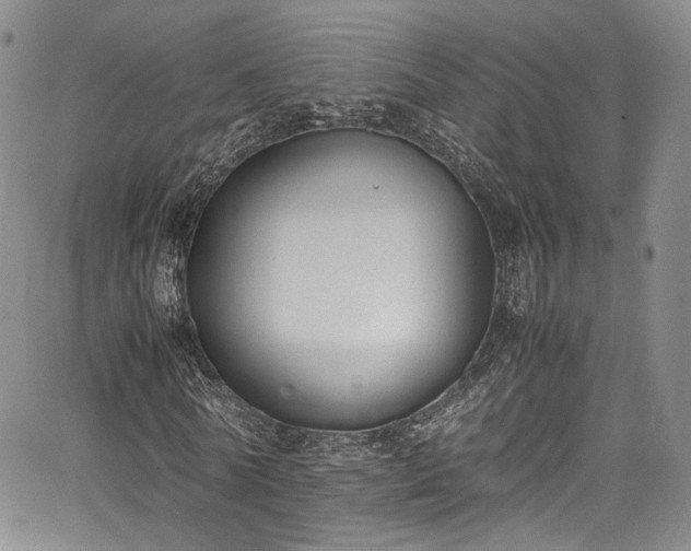 X0000067950770200604201430