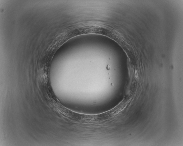 X0000067950771200604201430