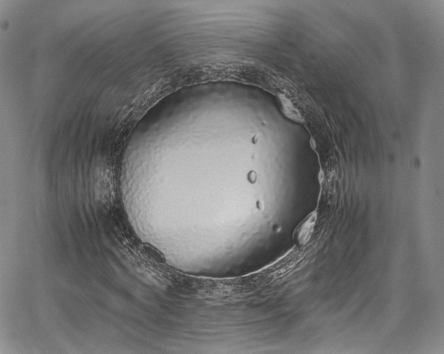 X0000067950772200604201430