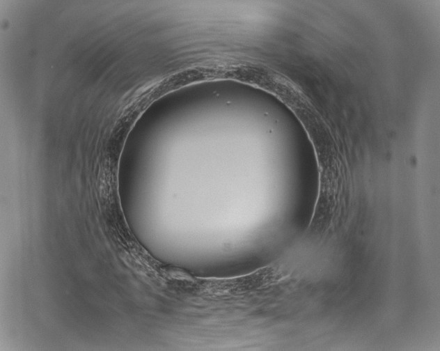 X0000067950773200604201430