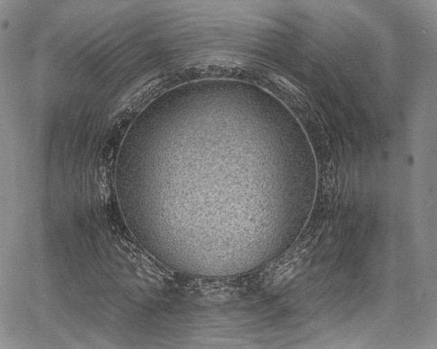 X0000067950774200604201430