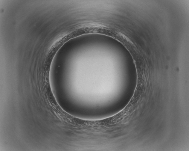 X0000067950775200604201430