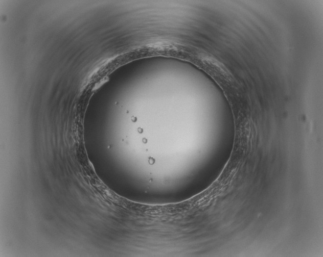 X0000067950776200604201430