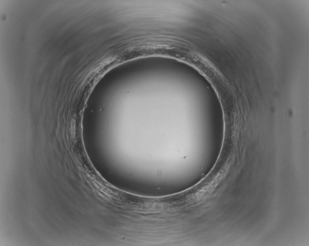 X0000067950777200604201430