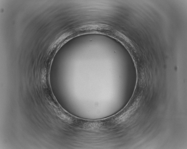 X0000067950778200604201430