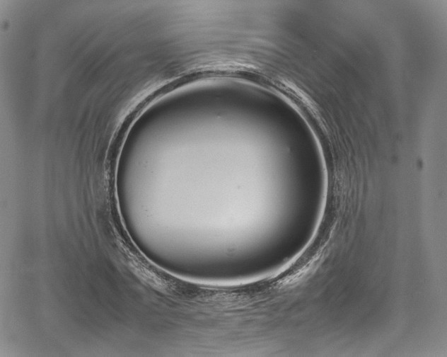 X0000067950779200604201430