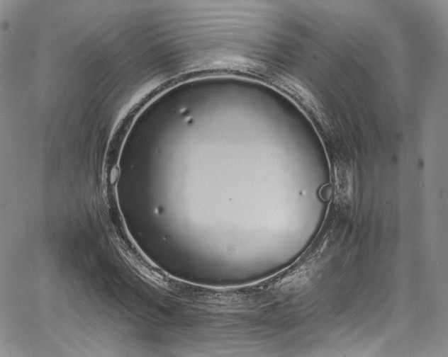 X0000067950780200604201430