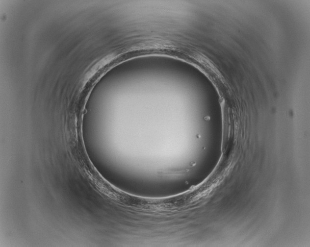 X0000067950781200604201430