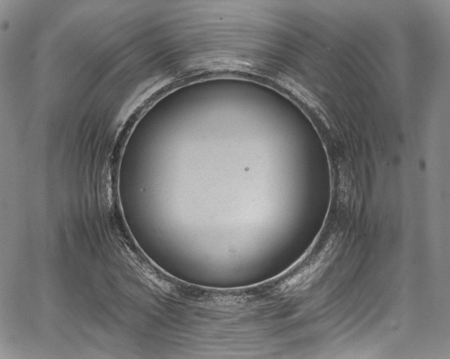 X0000067950782200604201430