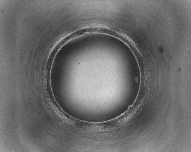 X0000067950783200604201430