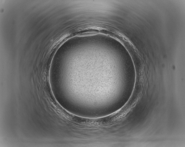 X0000067950785200604201430