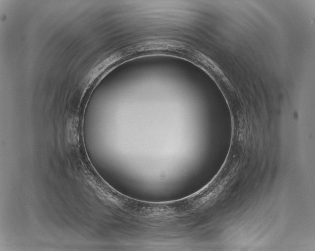 X0000067950786200604201430