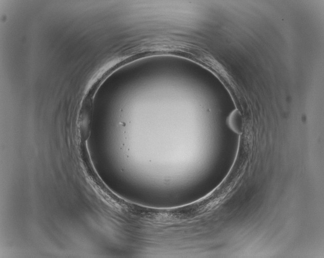 X0000067950787200604201430