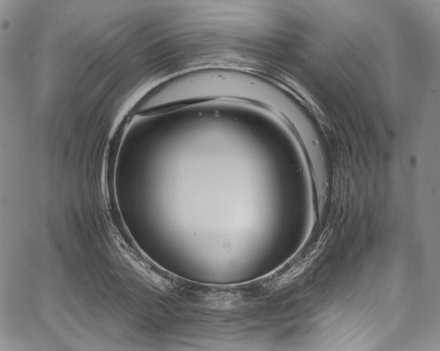 X0000067950788200604201430