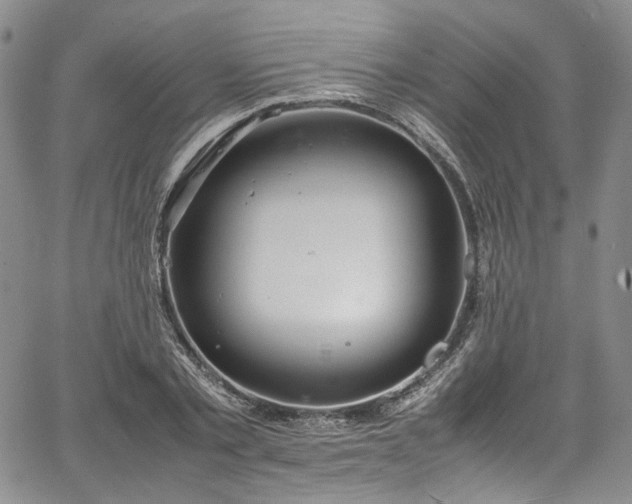 X0000067950789200604201430