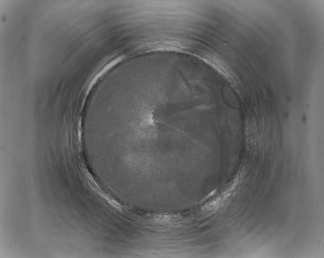 X0000067950790200604201430