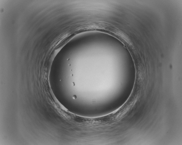 X0000067950793200604201430