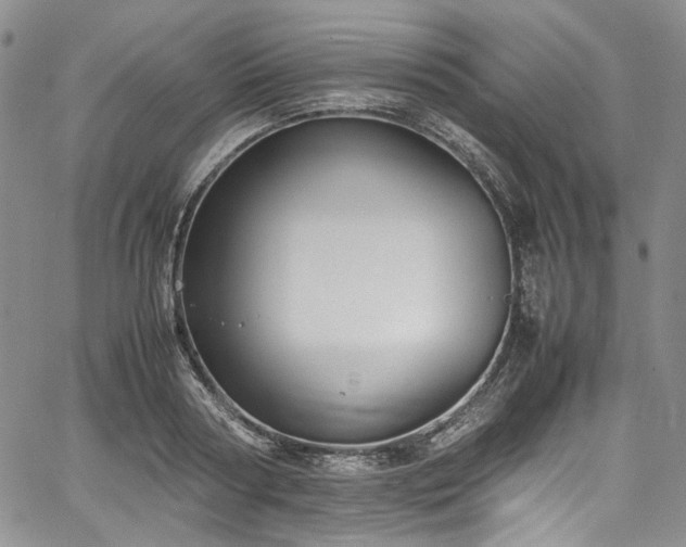 X0000067950794200604201430